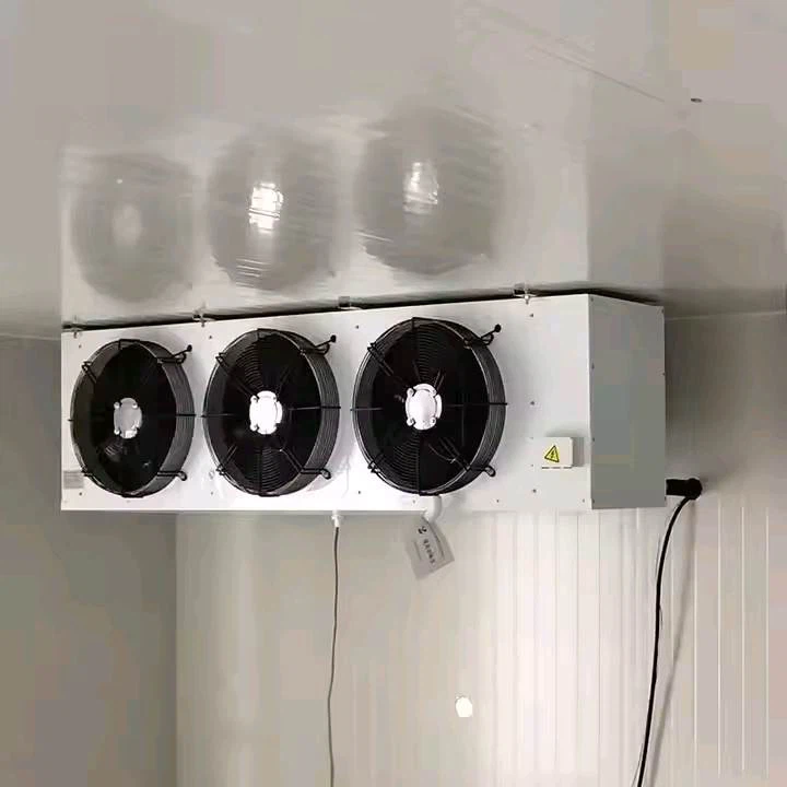 Ceiling Evaporative Cooler
